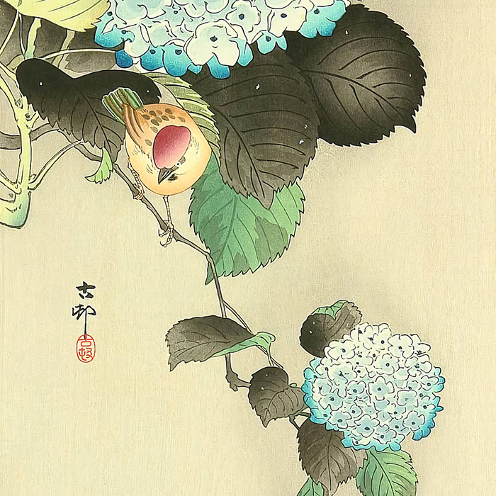 小原古邨 紫陽花に雀 壁紙ギャラリー Kagirohi
