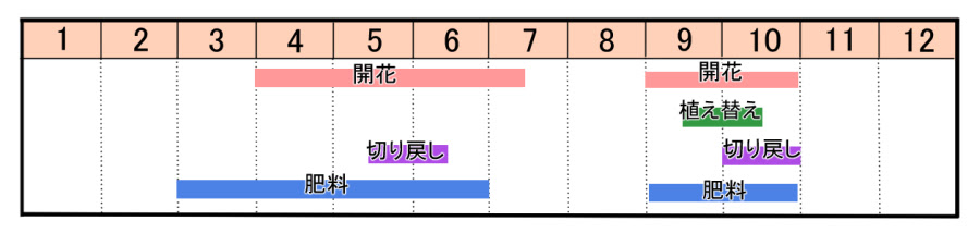 カーネーションの育て方 ヤサシイエンゲイ