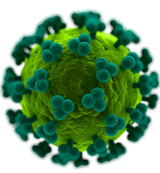 Cientistas conseguiram fazer HIV sair de 'esconderijo' para combatê-lo (Foto: SKU/Science Photo Library)