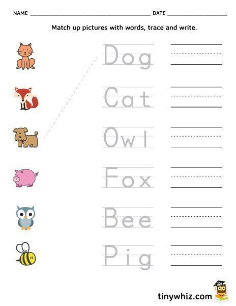 Each worksheet in our spelling and coloring series focuses on a specific word, allowing kids to trace, write, and cut and paste to reinforce spelling skills . free printable spelling worksheet match trace write words in 2023