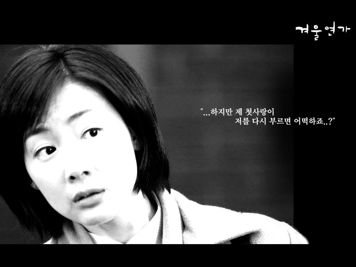 冬のソナタ 韓国ドラマ壁紙