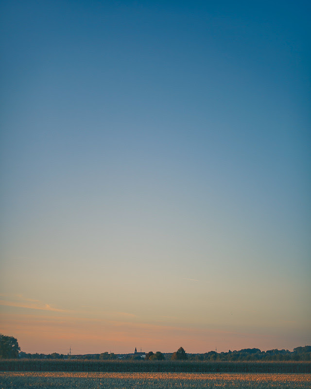 _MG_0705