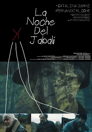 صورة