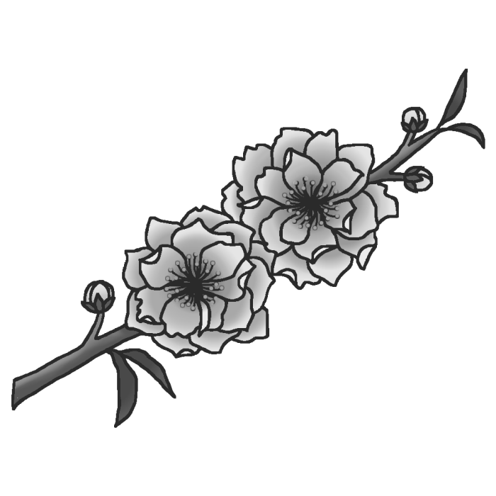 モモ 桃 ピンク モノクロ 春の花 無料イラスト素材