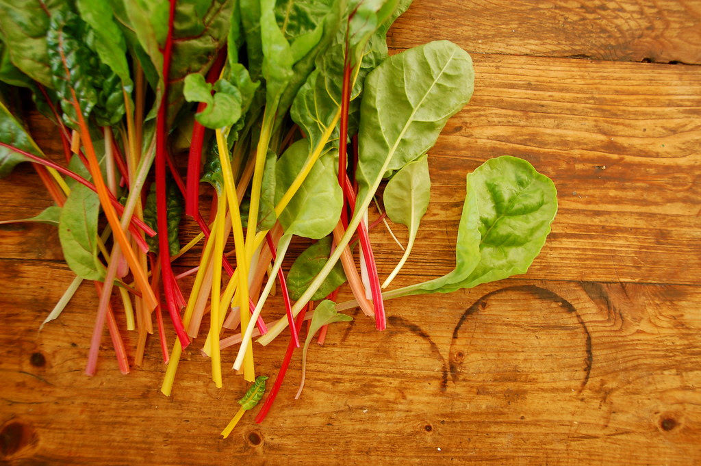 rainbow swiss chard