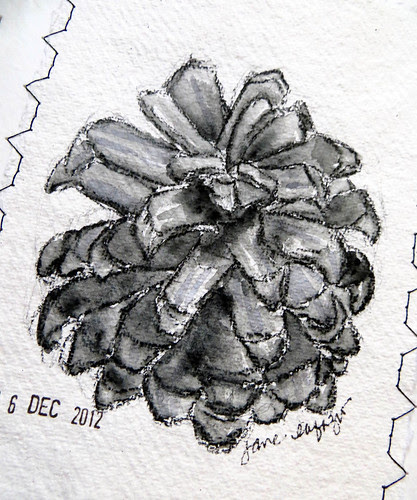 pinecones