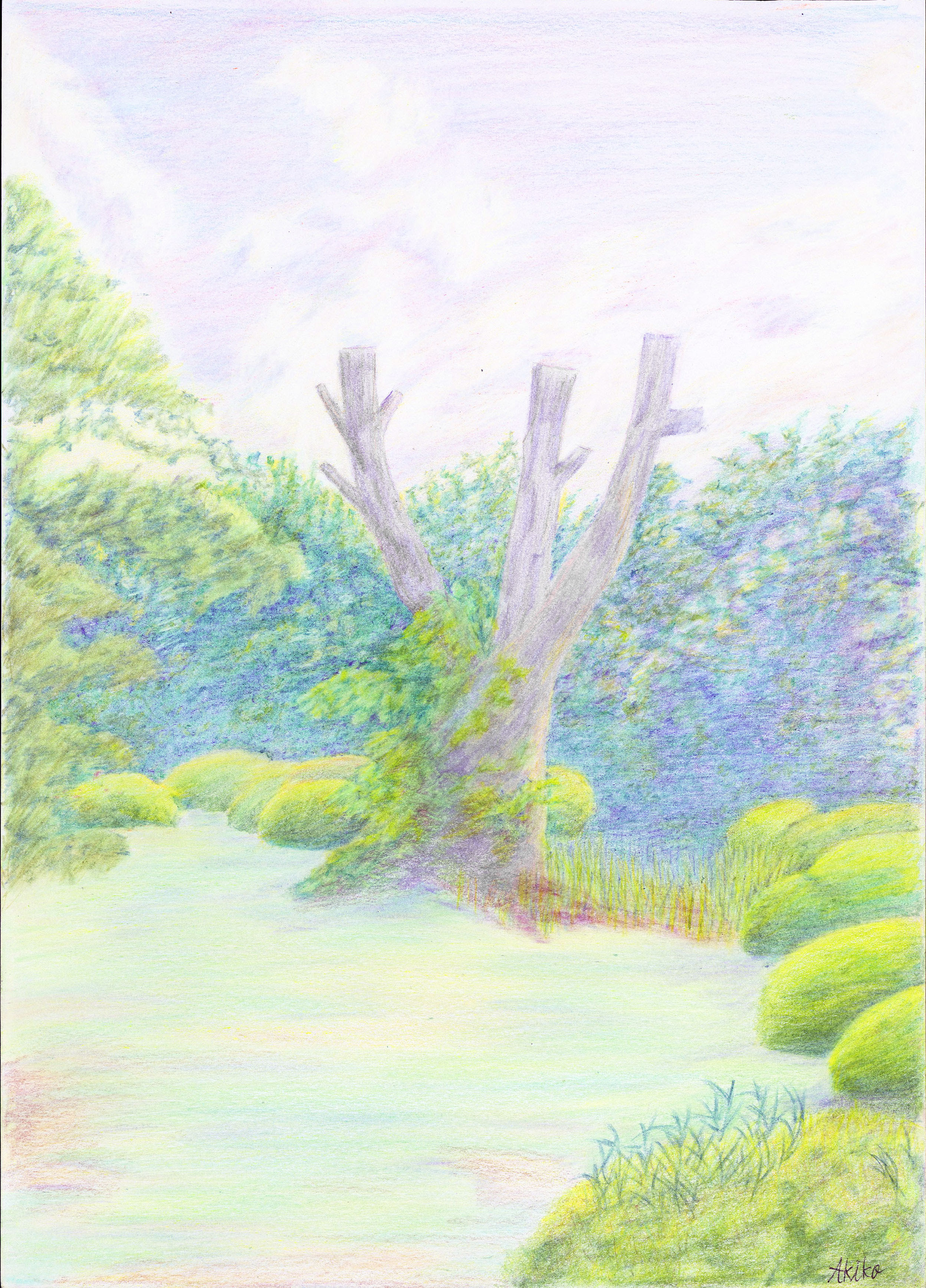 風景画 色鉛筆のみ