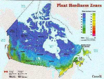 Canada Hardiness Zone Map Plant Hardiness Zones