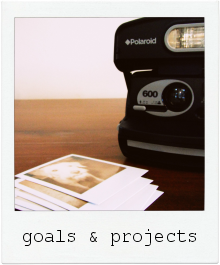 goals & projects