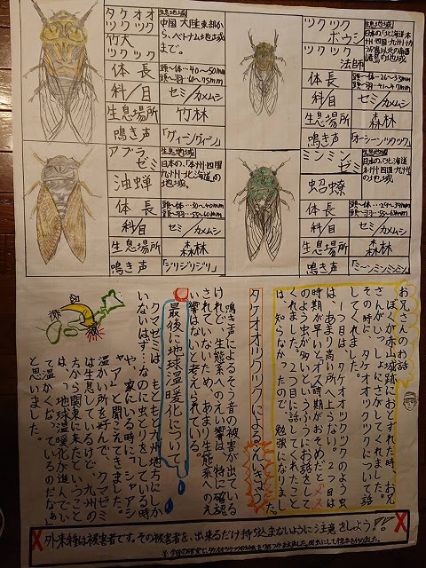 夏休み 自由研究 を展示 川口市立安行小学校
