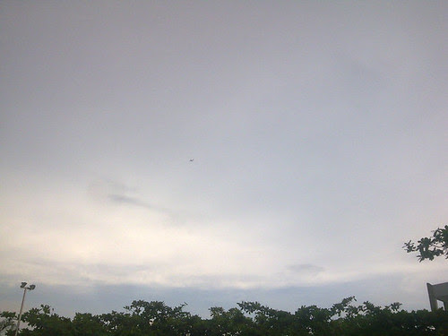 airplane. cloudy and pale.