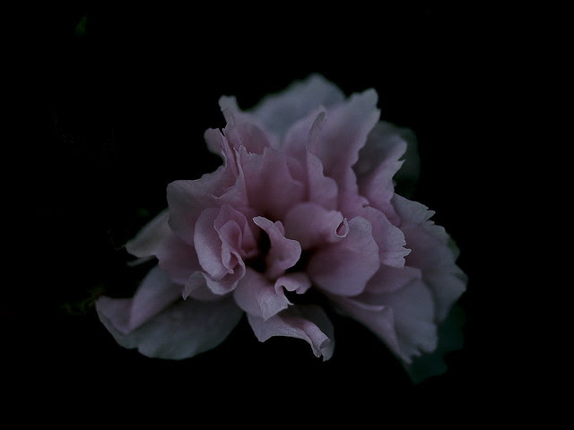 P5089855