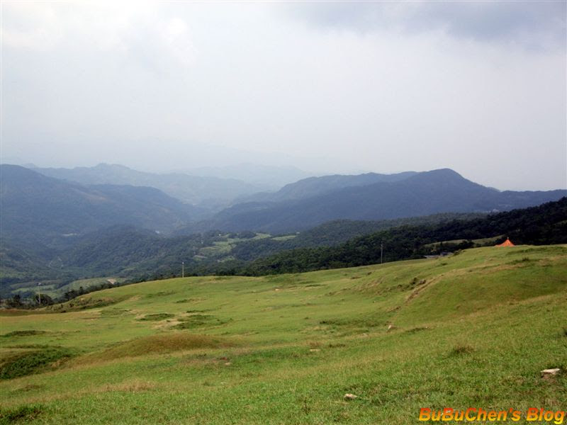 DSC 082.jpg