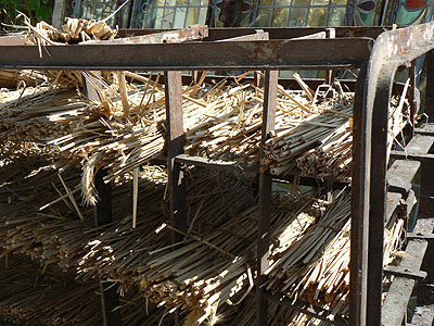 paillons  à fromage.jpg