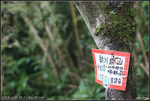 DSC03813_nEO_IMG
