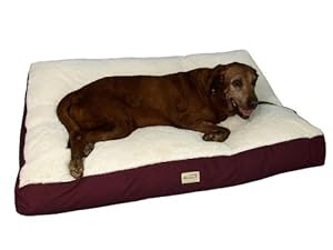 Discount Dog Beds from Other Pet Owners