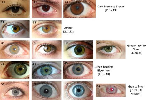  why are hazel eyes so beautiful and rare 2023 hazel eye color green