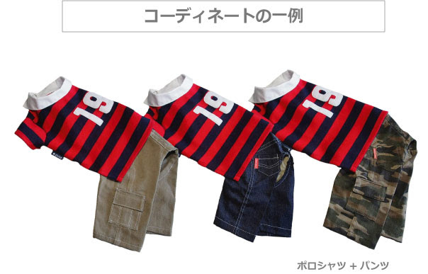 わんこパンツweb教室 ぴったりサイズのパンツが全てのわんこさんに共通でお作り頂けます