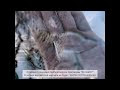 Video Smelt Ice Fishing Lures (my products)