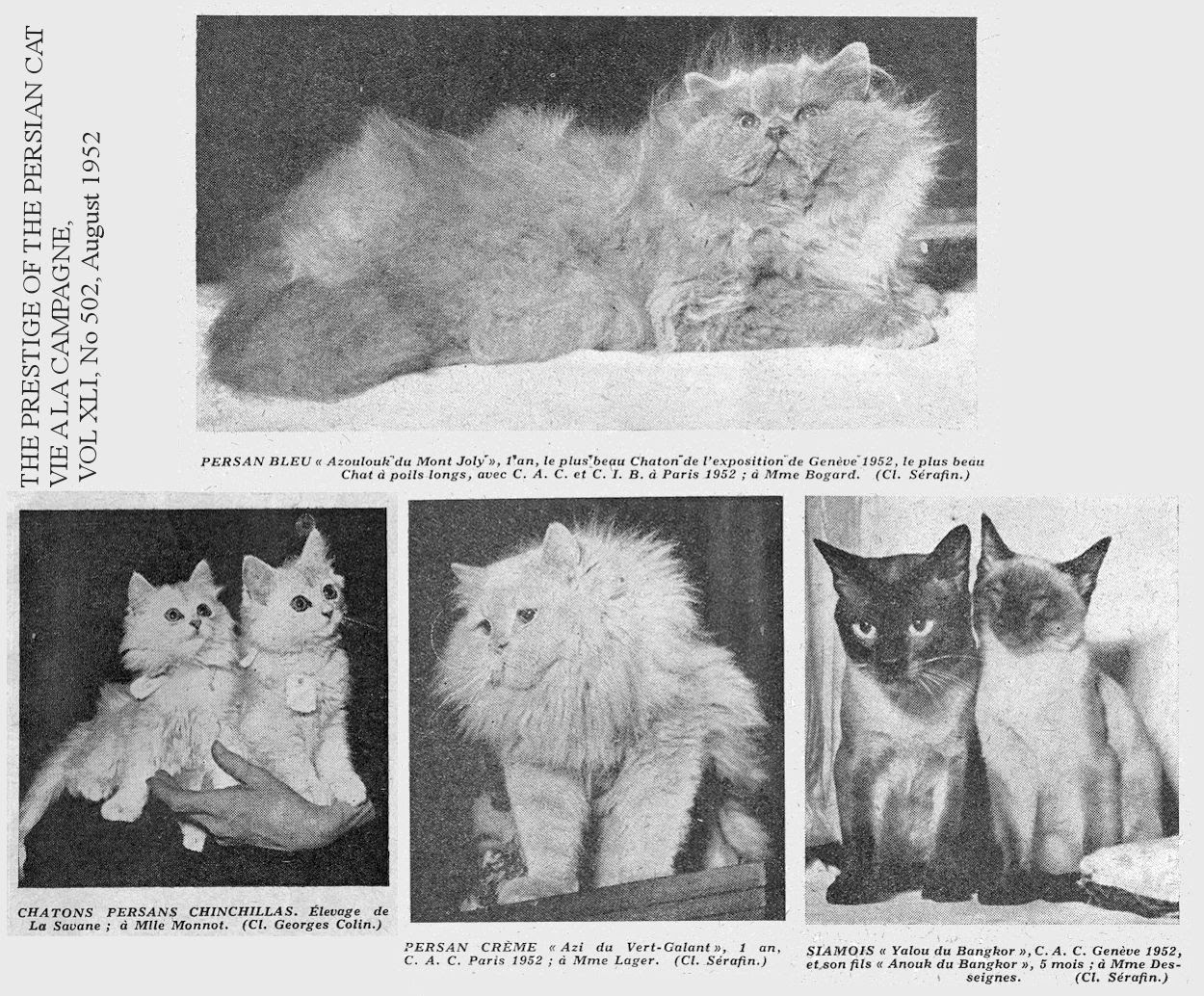 1900s Vie A La Campagne Magazine Articles About Cats