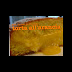 Pan D'arancio Misya / Trasferiteli ora in un mixer per frullarli.