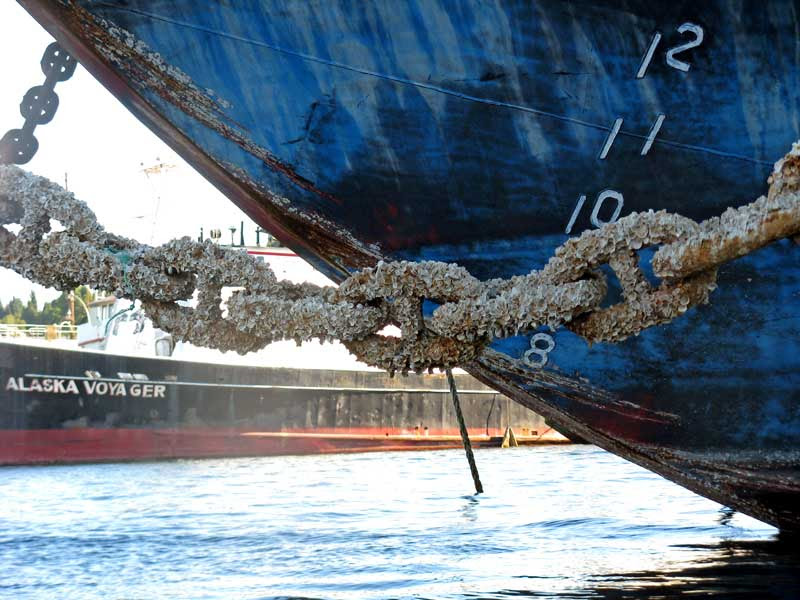 cool boat names. Park barnacles cool, but