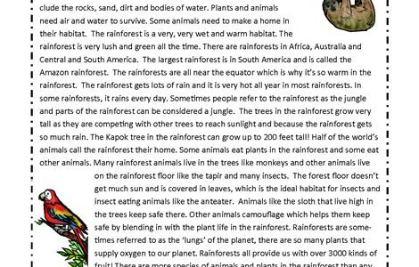 Download tropical rainforest comprehension answers New Releases PDF