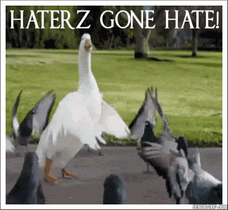 HaterZ Gonna Hate spelled wrong - white goose moonwalks in animated gif surrounded by black birds