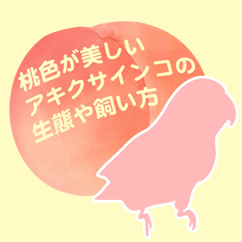 桃色が美しいアキクサインコとは 生態や飼い方紹介 小動物の総合情報サイト ペットスマイルニュースforスモマル
