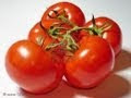 Pomodori ripieni