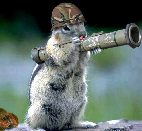 Animals With Guns