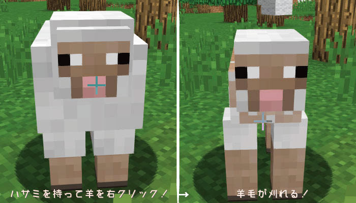 マインクラフトpc Pe 羊の入手方法と繁殖の仕方 羊毛の使い道と染色について マイクラモール