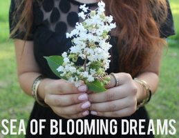 Sea of Blooming Dreams