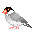 Passarinho