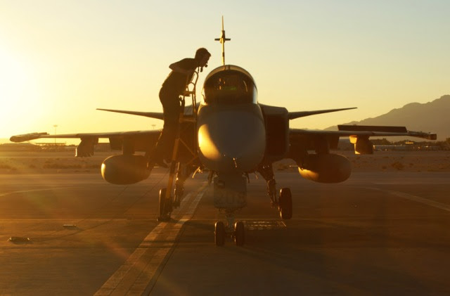 grippen