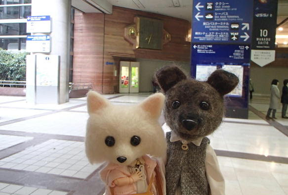 ディズニーシーに行ってきました ほんわかバタバタな日