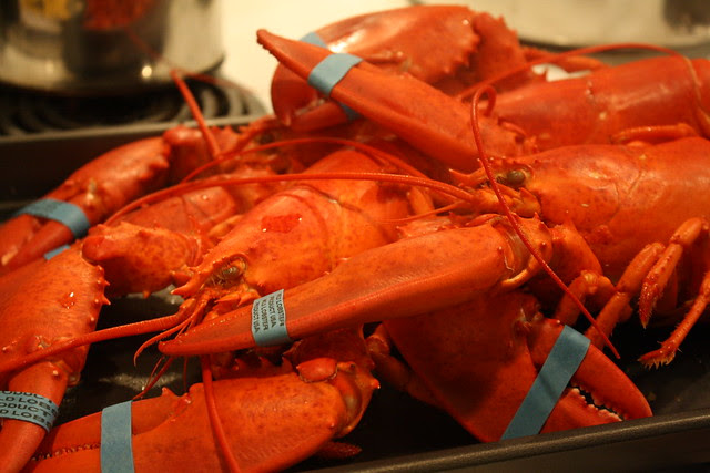 maine lobstah