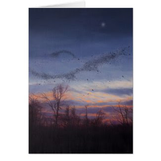 Murmuration Holiday Card