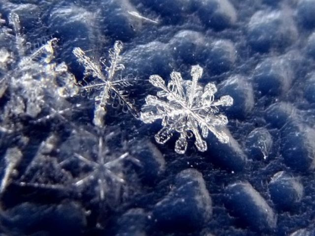 Unique and Beautiful Snowflakes (49 pics)