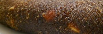 Apple Cheese Download Videos Mp3 and Mp4