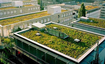 curitiba-telhado-verde.jpg