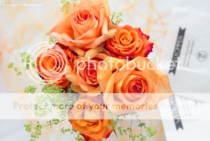http://i402.photobucket.com/albums/pp103/Sushiina/cityglam/bra4.jpg