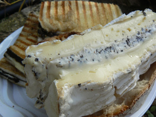 brie.jpg