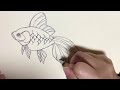 画像 書き方 金魚 イラスト かわいい 123085