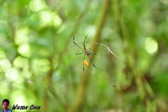 DSC_0206wtmk