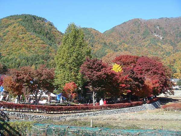 09 11日本行day7 河口湖紅葉季 忍野八海 山中湖 御殿場outlet 新宿 台場 胖熊與寶頭鷹愛玩世界 痞客邦
