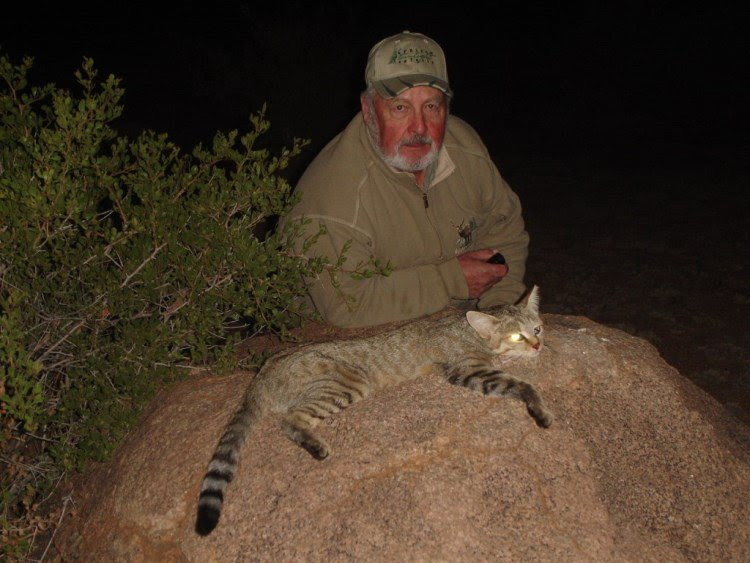 Wild Cat Namibia Safari Corporation