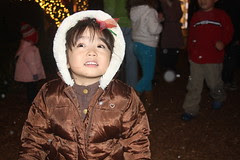 More photos by lancelonie, on Flickr