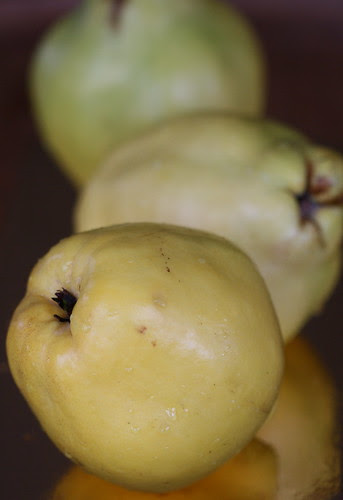 Beautiful quinces / Aiva ehk küdoonia