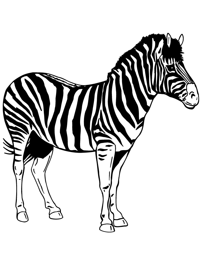 Free Zebra Print Stencil Printable, Download Free Zebra Print ...